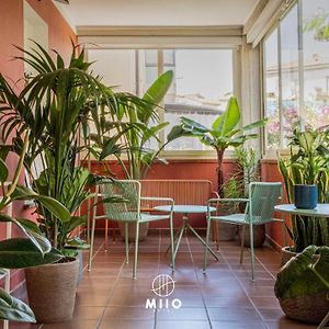 Miio Hotel